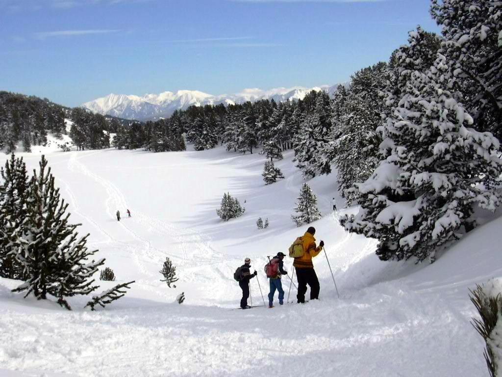 Le Chalet Du Ticou Bolquere Экстерьер фото