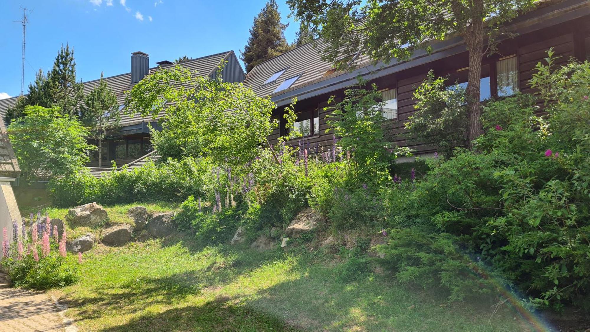 Le Chalet Du Ticou Bolquere Экстерьер фото