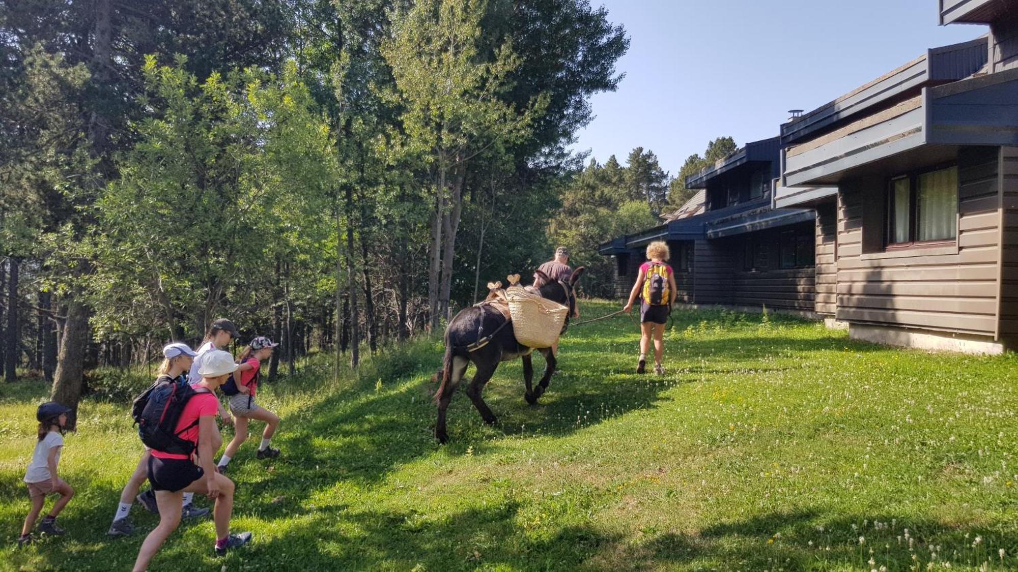 Le Chalet Du Ticou Bolquere Экстерьер фото